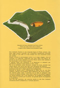 Il libro 'AVE MARIA...E CORAGGIO!'