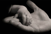 Ogni gesto concreto di generosa carità è destinato esclusivamente lle opere di solidarietà del Santuario