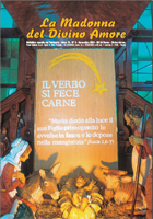 Scarica il numero di novembre 2008 del Bollettino in formato pdf